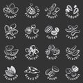 Nuts icons set