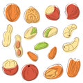 Nuts icons set in line art style. Peanut, pecan, cashew, hazelnut, macadamia, walnut, almond, pistachio. Vector Royalty Free Stock Photo