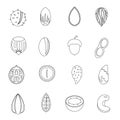 Nuts icons set, outline style