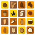 Nuts Icons Set