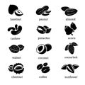 Nuts icons vector set Royalty Free Stock Photo