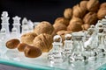 Nuts improve brain efficiency visualization - chess, chessboard with nuts Royalty Free Stock Photo