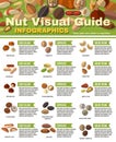 Nuts Infographics Set Royalty Free Stock Photo
