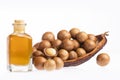 Nuts and macadamia oil - Macadamia integrifolia. White background