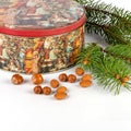 Nuts with metal box and Christmas tree sprig