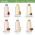 Nuts milk in glass bottles vector set. Modern flat design. Organic, vegan, lactose free drink.