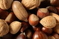 Nuts mix, walnuts, pecan hazelnut almond, chestnut Royalty Free Stock Photo