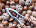 Nuts mixed unopened with a nutcracker Royalty Free Stock Photo