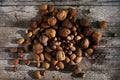 Nuts mixed, unshelled in kernels, walnuts, hazelnuts and almonds Royalty Free Stock Photo