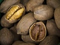 Nuts - Pecans Royalty Free Stock Photo