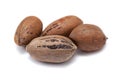 Nuts pecans in shell closeup Royalty Free Stock Photo