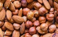 Nuts pile background. Cashew, almond, hazelnut mix closeup. Organic food rustic banner template.