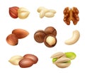 Nuts realistic. Healthy closeup natural products cocoa peanut coffee beans almonds aroma grain decent vector snack foods