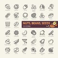 Nuts, seeds and beans elements - minimal thin line web icon set. Outline icons collection