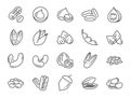 Nuts, seeds and beans icon set. Included icons as walnut, sesame, green beans, coffee, almond, pecan and more.