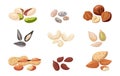 Nuts and seeds. Cartoon pistachio, almonds and hazelnuts. Cashews or peanuts. Tasty pumpkin, flax and sunflower grains