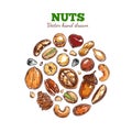 Nuts and seeds collection. Royalty Free Stock Photo