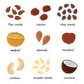 Nuts and seeds collection. Set of healthy food isolated elements in cartoon style