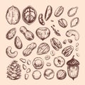 Nuts and seeds collection