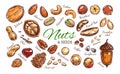 Nuts and seeds colorful collection Royalty Free Stock Photo