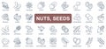 Nuts and seeds concept simple line icons set.