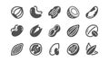 Nuts and seeds icons. Hazelnut, Almond nut and Peanut. Classic set. Vector