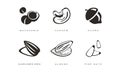 Nuts and seeds icons set, macadamia, cashew, acorn, sunflower seed, almond, pine nut monochrome vector Illustration on a Royalty Free Stock Photo