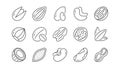 Nuts and seeds line icons. Hazelnut, Almond nut and Peanut. Linear set. Vector Royalty Free Stock Photo