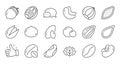 Nuts and seeds line icons. Hazelnut, Almond nut and Peanut. Linear set. Vector Royalty Free Stock Photo