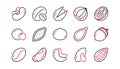 Nuts and seeds line icons. Hazelnut, Almond nut and Peanut. Linear set. Vector Royalty Free Stock Photo
