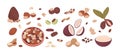 Nuts and seeds set. Walnut, cashew, almond, chestnut and hazelnut with kernels and nutshell. Healthy food. Vegan