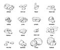 Nuts and seeds vector collection. Hand drawn elements. Objects on white background in sketch style Royalty Free Stock Photo