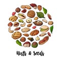 Nuts and seeds vector collection. Hand drawn elements. Objects on white background in sketch style Royalty Free Stock Photo