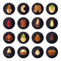 Nuts and seeds vector icons set. Flat design. Royalty Free Stock Photo
