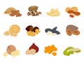 Nuts,seeds vector illustration Royalty Free Stock Photo