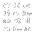 Nuts and seeds vector set. Outline minimalistic design. Icons set. Royalty Free Stock Photo