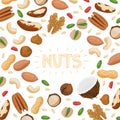 Nuts set with different types of nuts Royalty Free Stock Photo