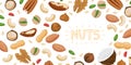 Nuts set horizontal banner with different types of nuts Royalty Free Stock Photo