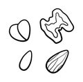 Isolated nuts set in black lines on white background Royalty Free Stock Photo