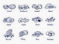 Nuts sketch. Hand drawn popular nuts vector set