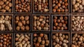 nuts, such as walnuts and hazelnuts, presented in wooden boxes, with a background of various whole peanuts arranged on Royalty Free Stock Photo