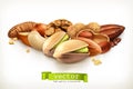 Nuts vector illustration