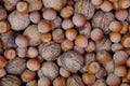 Nuts and walnuts . Close-up of walnuts and hazelnuts as background . Mix of hazelnut and walnuts with hard shell . dried hazelnuts