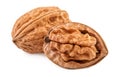 Nuts Walnuts Whole and Half Close-up Royalty Free Stock Photo