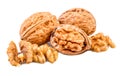 Nuts or walnuts whole and shelled on white Royalty Free Stock Photo