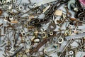 Nuts, washers, bolts, screws of various sizes and shapes over the plain background. A set for the mechanic. Royalty Free Stock Photo