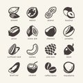 16 Nuts - web icon cet Royalty Free Stock Photo