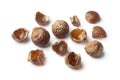 Nutshells of soapnuts Royalty Free Stock Photo