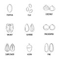 Nutwood icons set, outline style Royalty Free Stock Photo