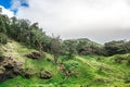 Nuuanu Pali Lookout on a beautiful sunny day